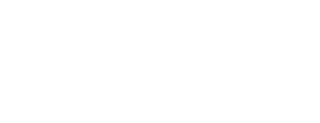 VATSIM Logo