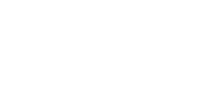 vNorwegian logo