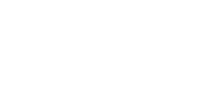 Scandinavian Virtual logo